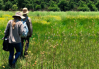 Ecology and Atmospheric Services