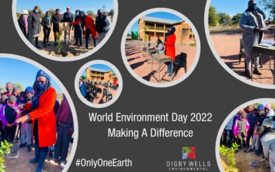 Celebrating World Environmental Day