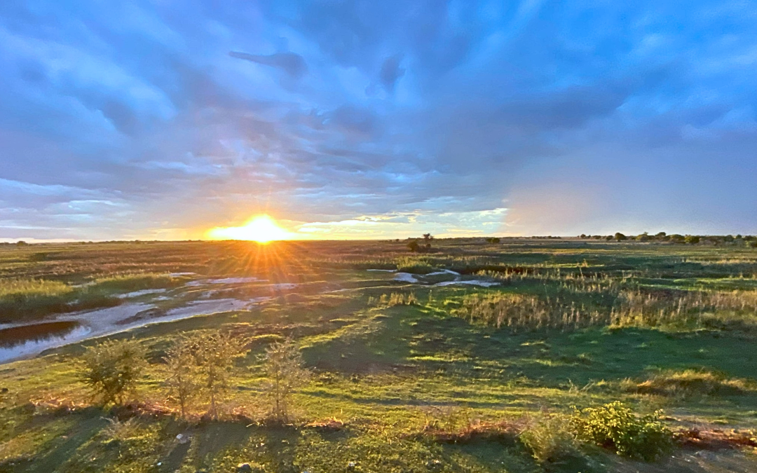 Sunset over a grassy wetland with scattered pools of water under a dramatic sky