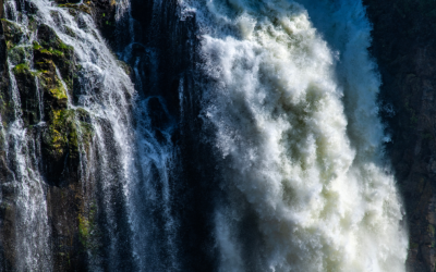 Rethinking Water Risk: Charting the Path Forward