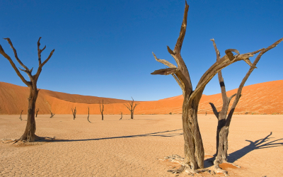 When Deserts Flood: Climate Change in Arid Regions