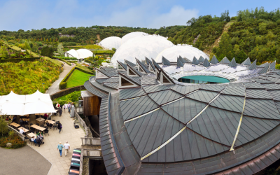 How Social Closure Planning Shapes Lasting Legacies