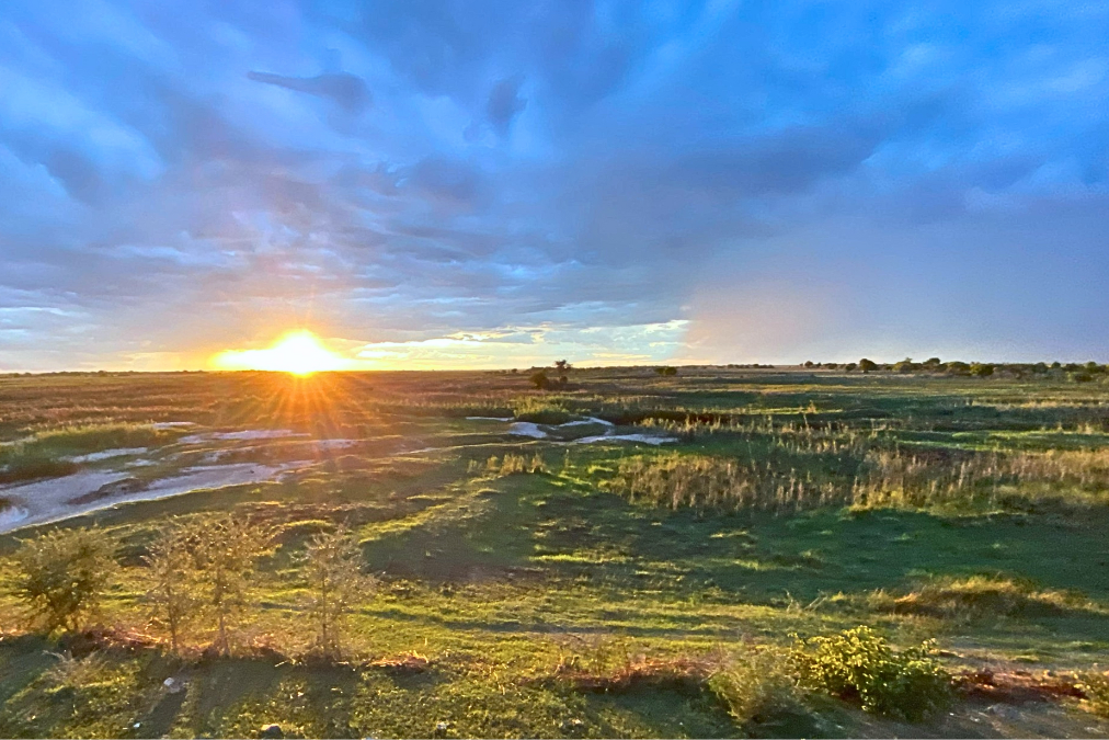 Sunset over a grassy wetland with scattered pools of water under a dramatic sky