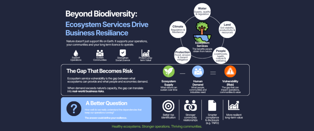 Infographic titled 'Beyond Biodiversity: Ecosystem Services Drive Business Resilience' showing how water, climate, land, people and protection services underpin operations, communities and social licence; a diagram illustrating ecosystem service vulnerability as the gap between ecosystem supply and human demand; and four business benefits: better risk identification, stronger community relationships, smarter TNFD compliance, and more resilient long-term value.